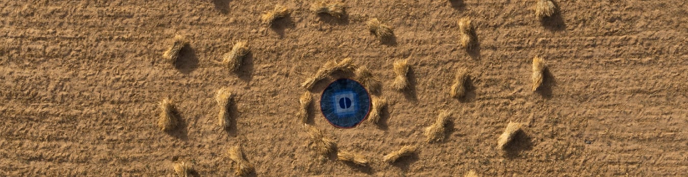 Jaipur Rugs Ltd